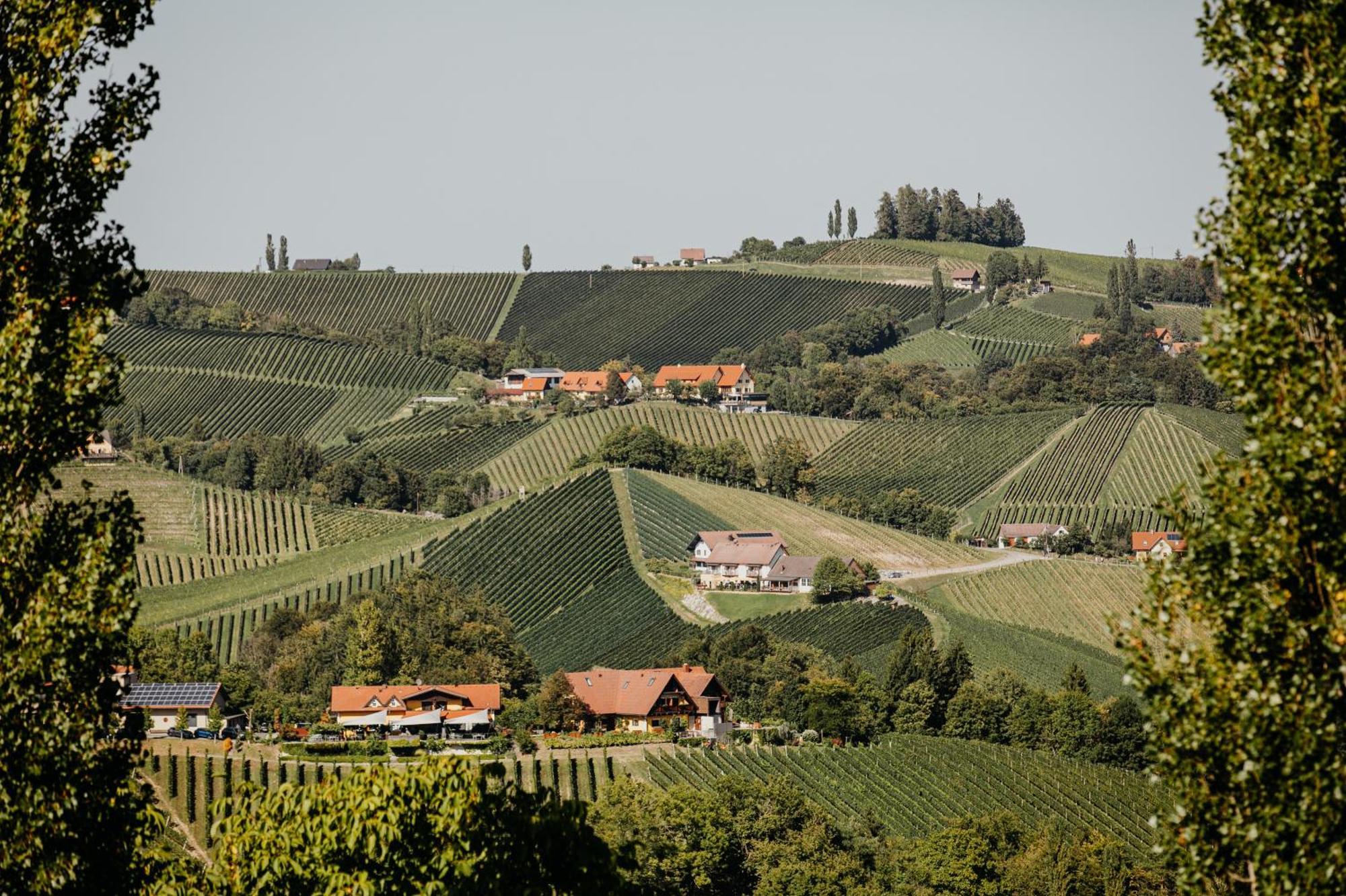 Ferienhaus Am Herbsthof 里欧查赫 外观 照片