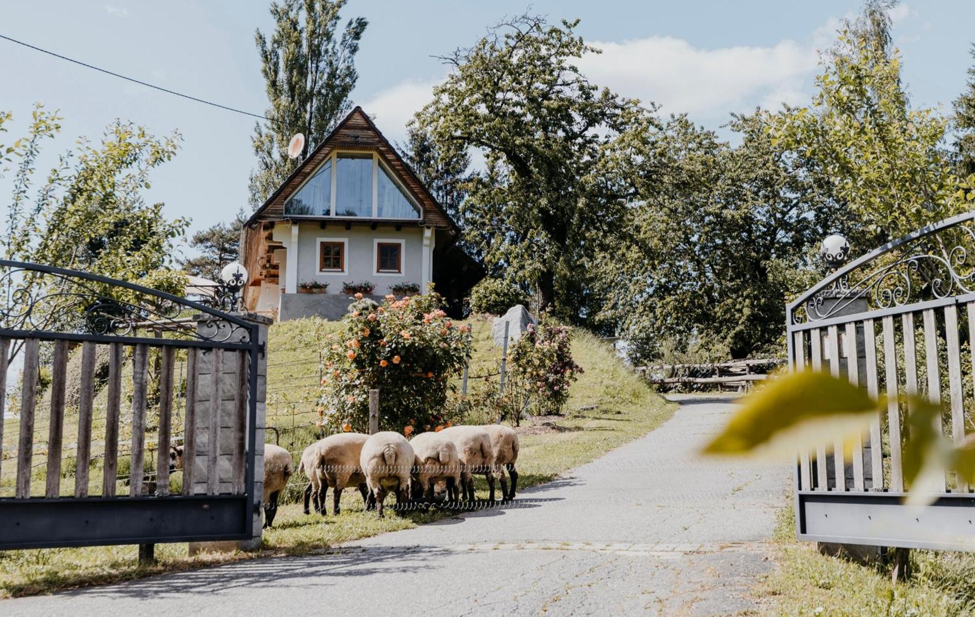 Ferienhaus Am Herbsthof 里欧查赫 外观 照片