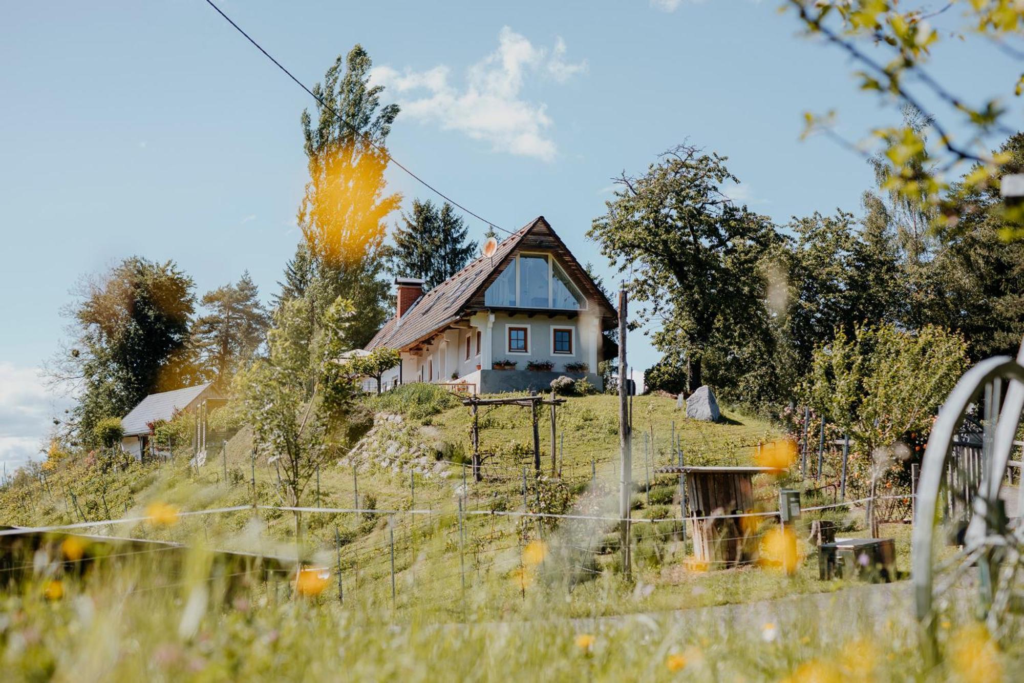 Ferienhaus Am Herbsthof 里欧查赫 外观 照片