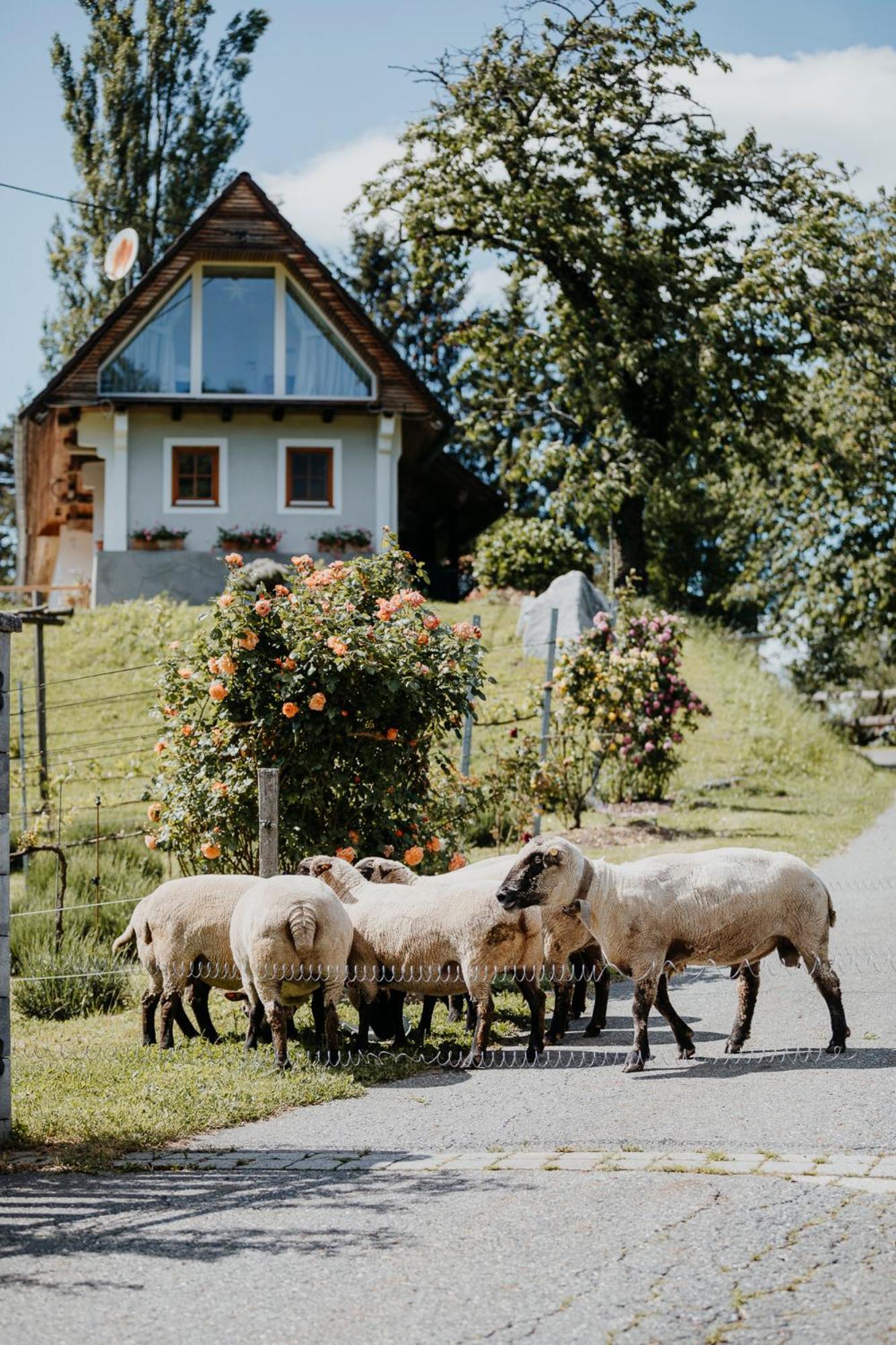 Ferienhaus Am Herbsthof 里欧查赫 外观 照片