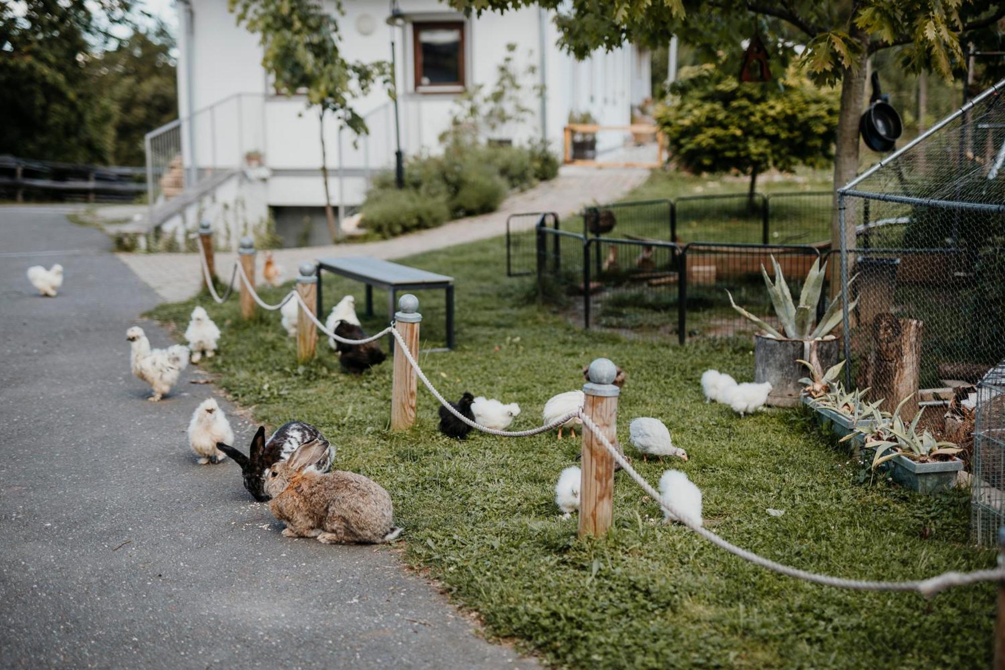 Ferienhaus Am Herbsthof 里欧查赫 外观 照片