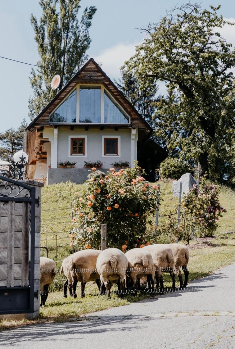 Ferienhaus Am Herbsthof 里欧查赫 外观 照片